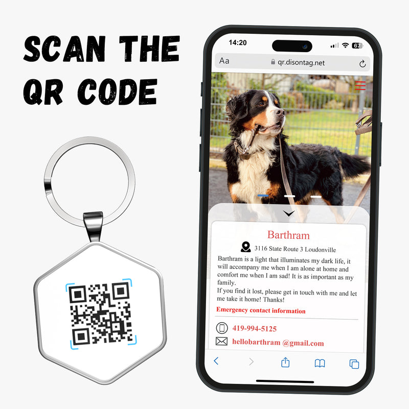 QR code pet tag Any picture-NO.150902