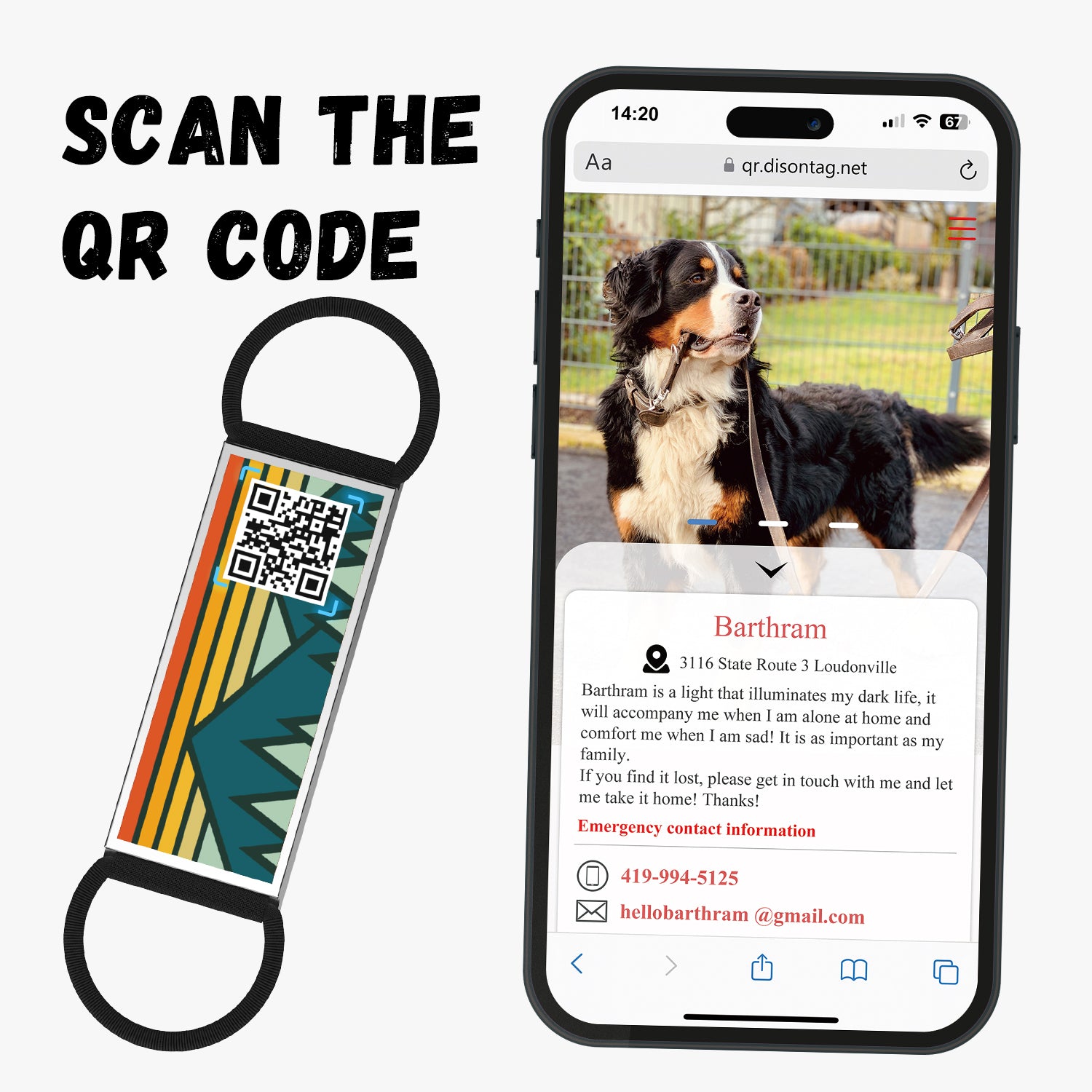 QR code pet tag Into the adventure-NO.140625