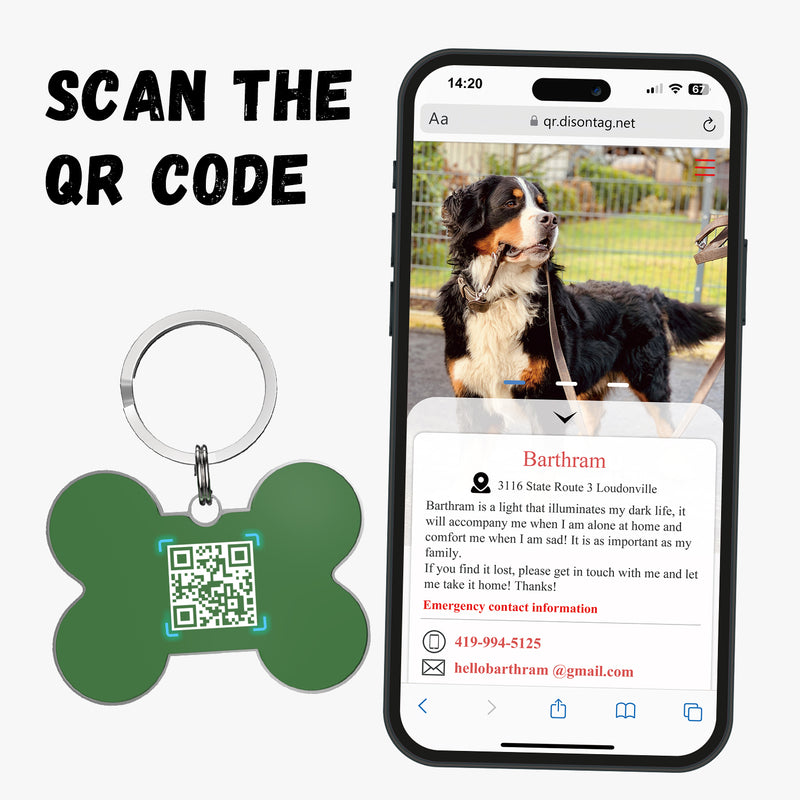 QR code pet tag Colorful text-NO.170922