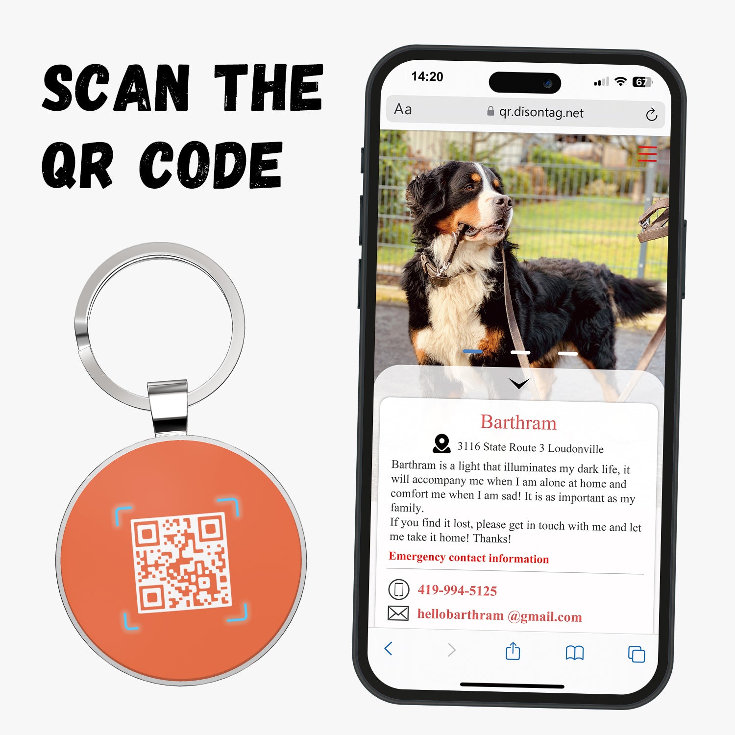 QR code pet tags-NO.150631