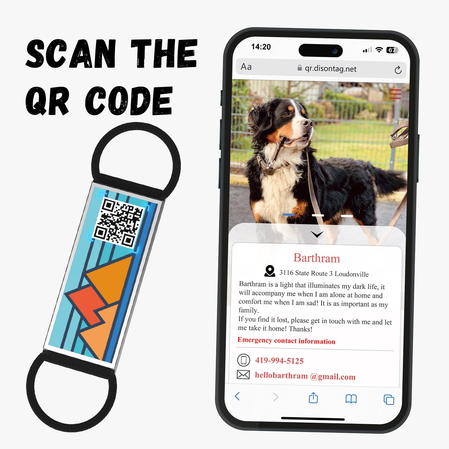 QR code pet tag Into the adventure-NO.140624