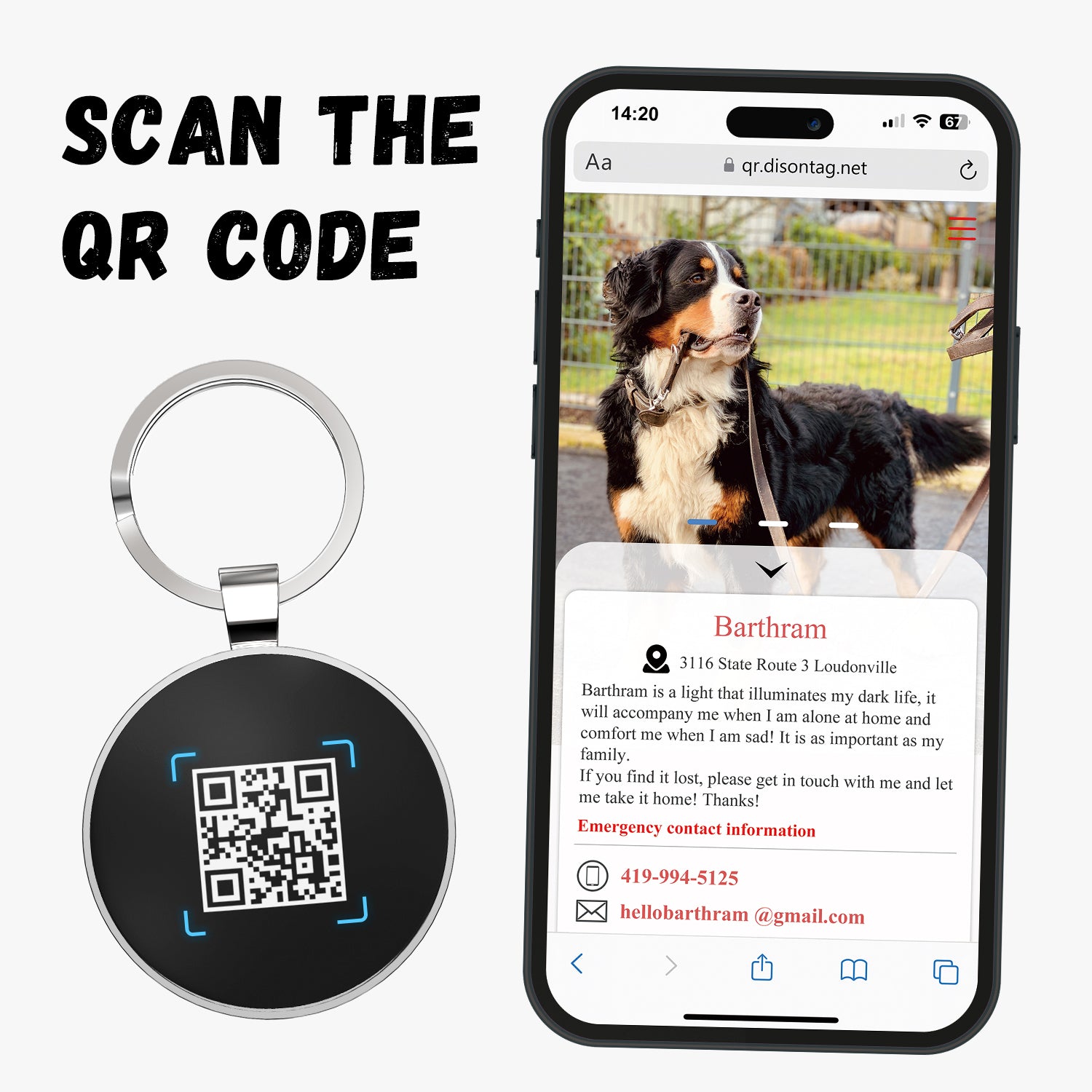 QR code pet tag Pet paws-NO.140607