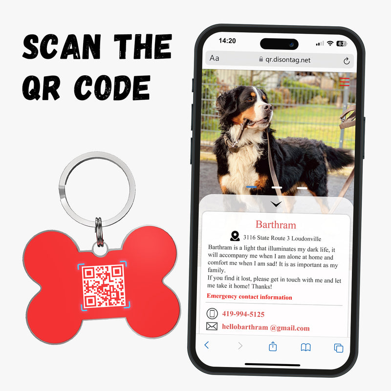QR code pet tag Colorful text-NO.170923