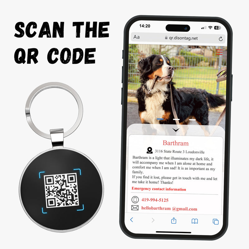 QR code pet tag Colorful text-NO.170908