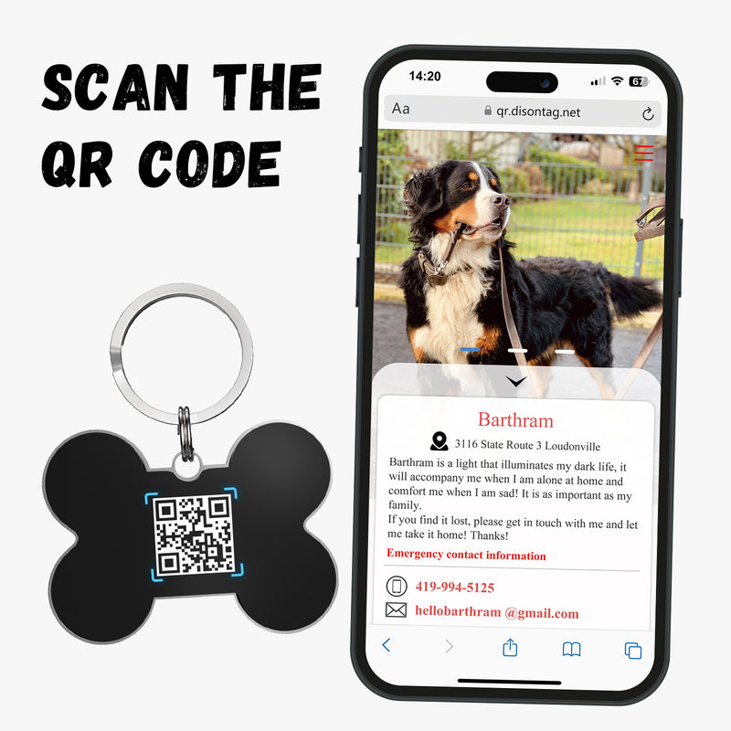 QR code pet tag Colorful text-NO.170924