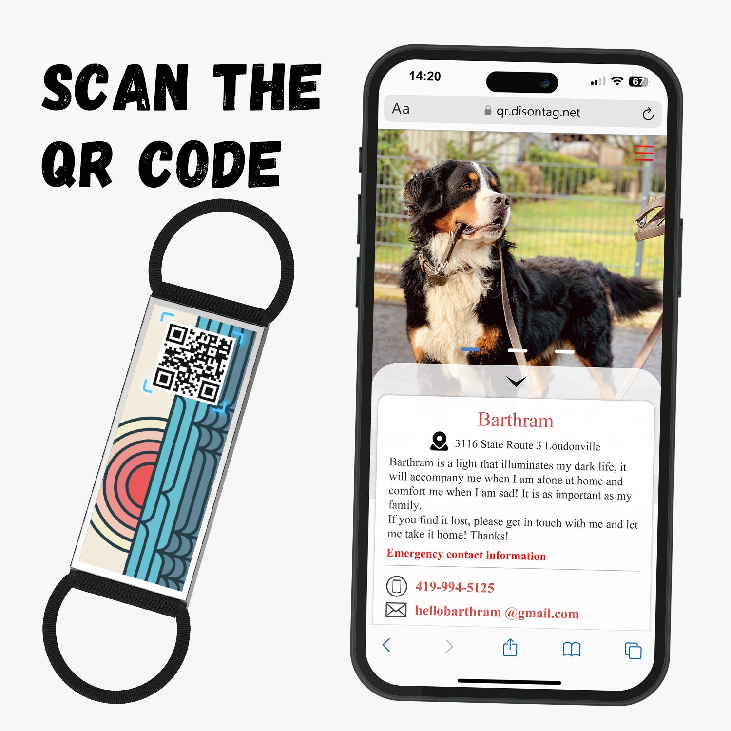 QR code pet tag Into the adventure-NO.140623