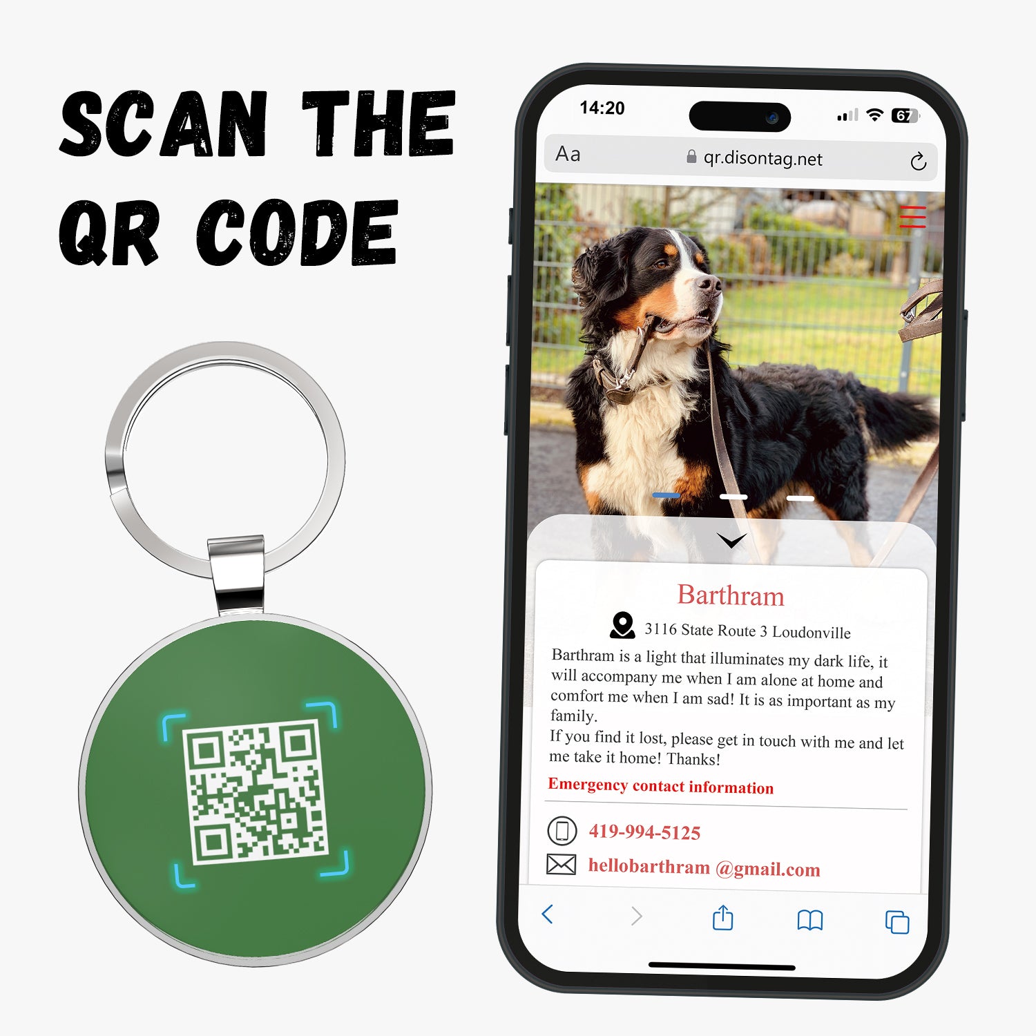 QR code pet tag Pet paws-NO.140627