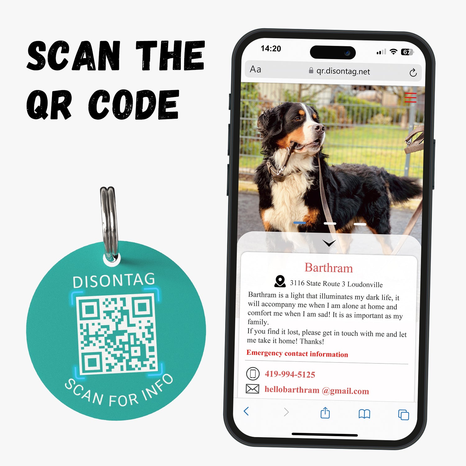 PVC QR pet tag-"SMILE"