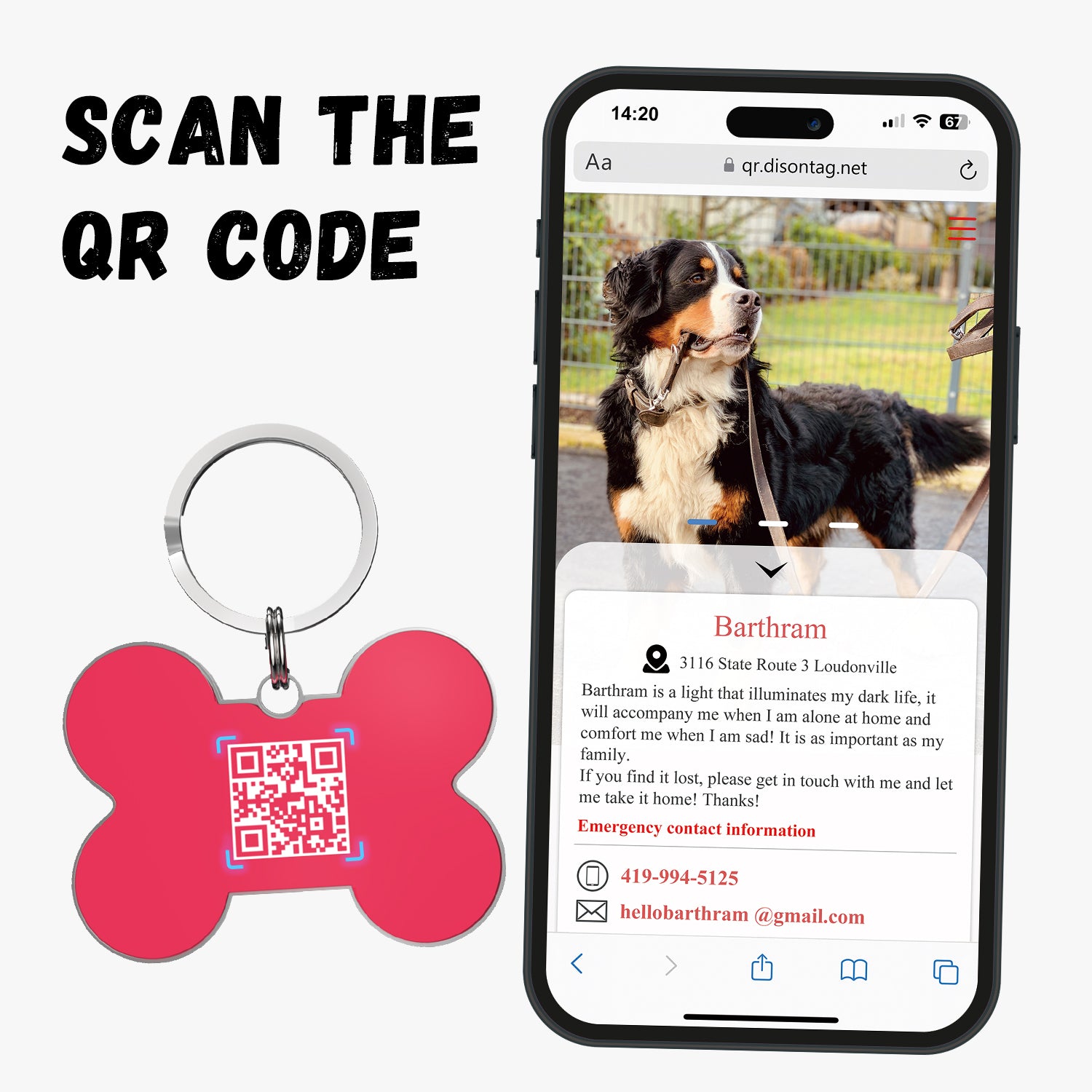 QR code pet tag Bling bone tags-NO.140614