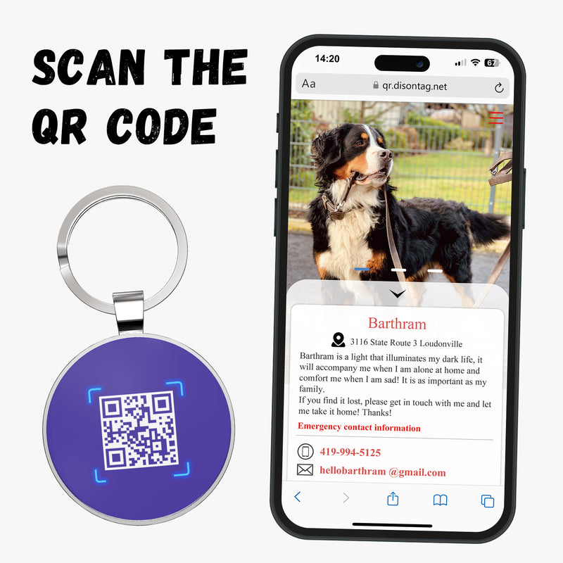 QR code pet tag Colorful text-NO.170903