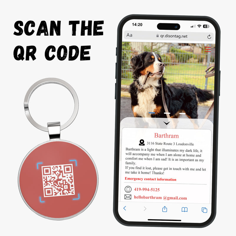 QR code pet tag Colorful text-NO.170909