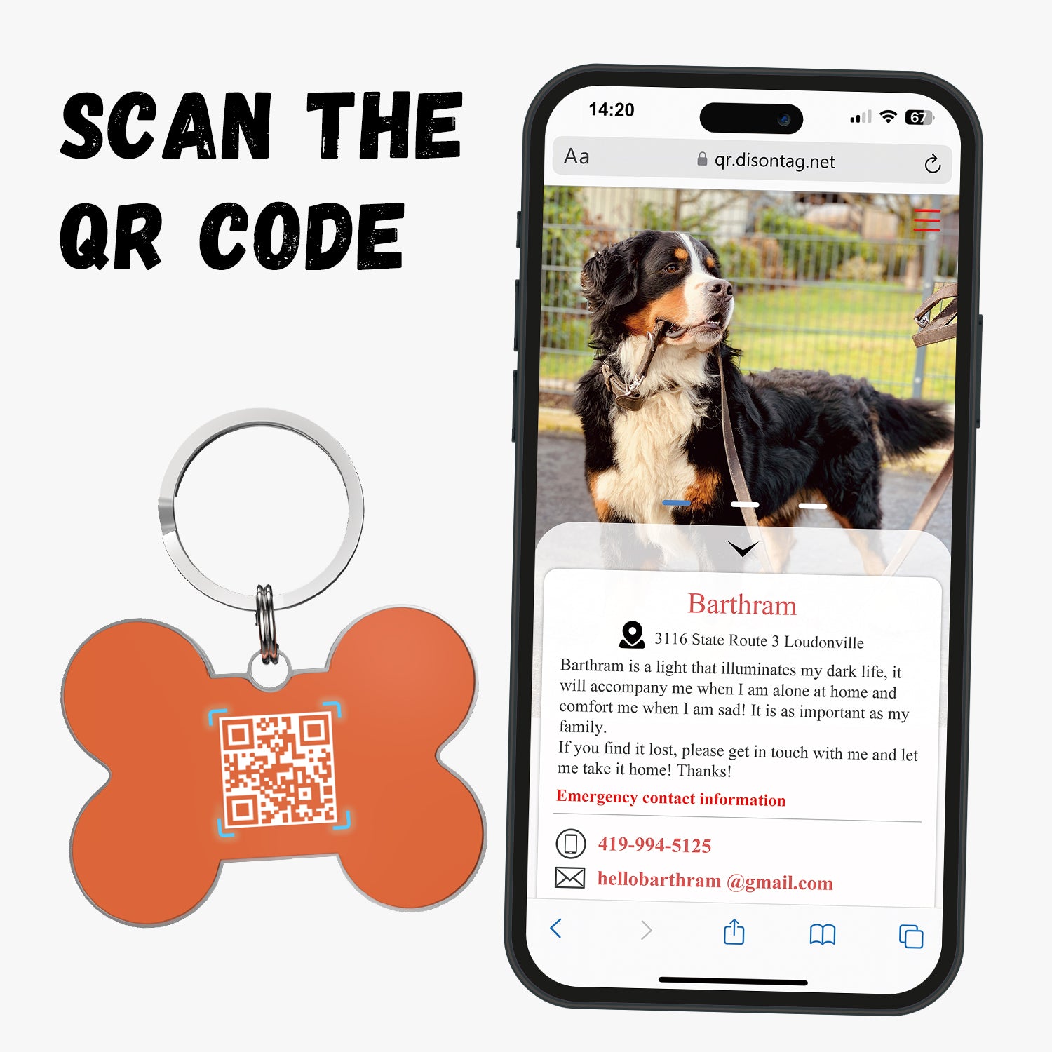 QR code pet tag Bling bone tags-NO.140617