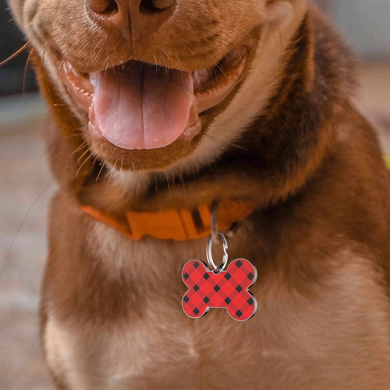 QR code pet tag bone tags-NO.150634