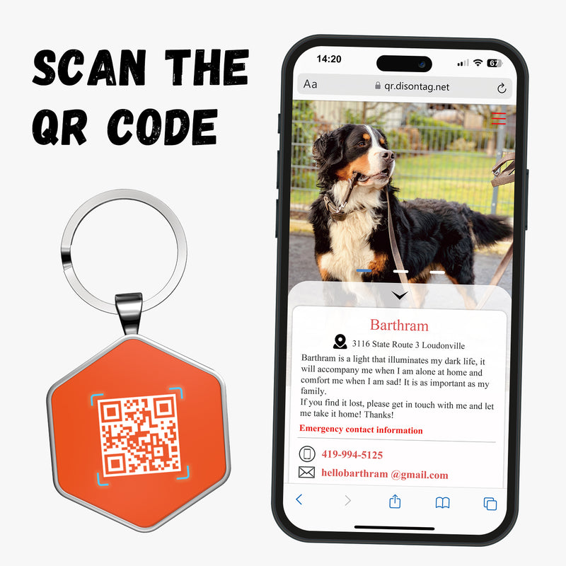 QR code pet tag Colorful text-NO.170911
