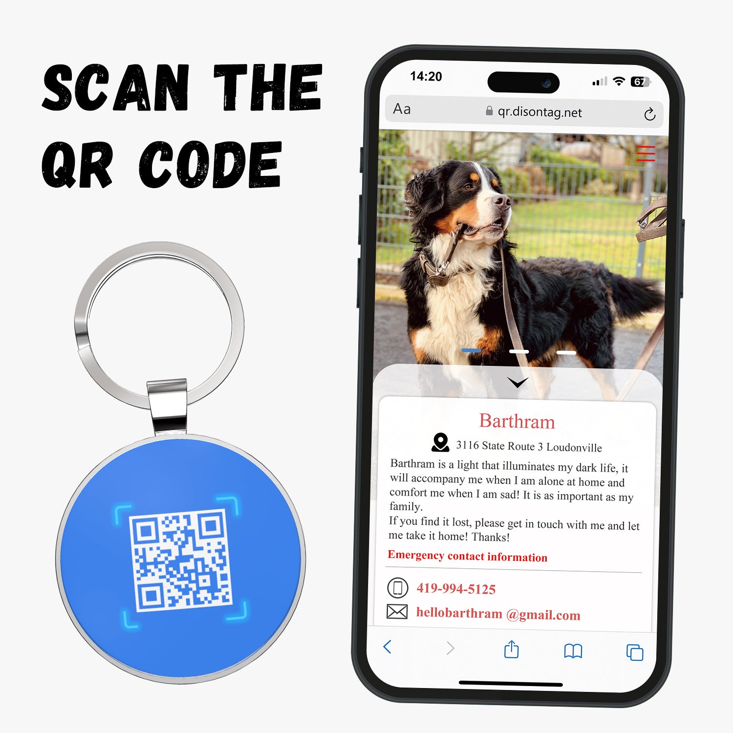 QR code pet tag Pet paws-NO.140626