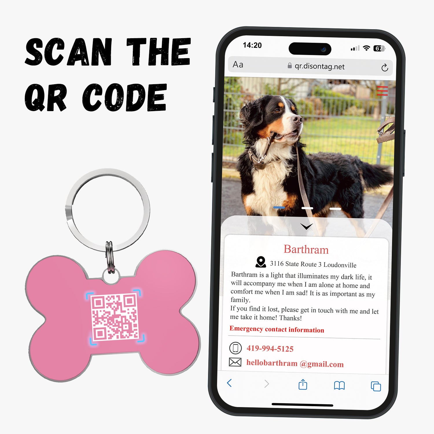 QR code pet tag Bling bone tags-NO.140613