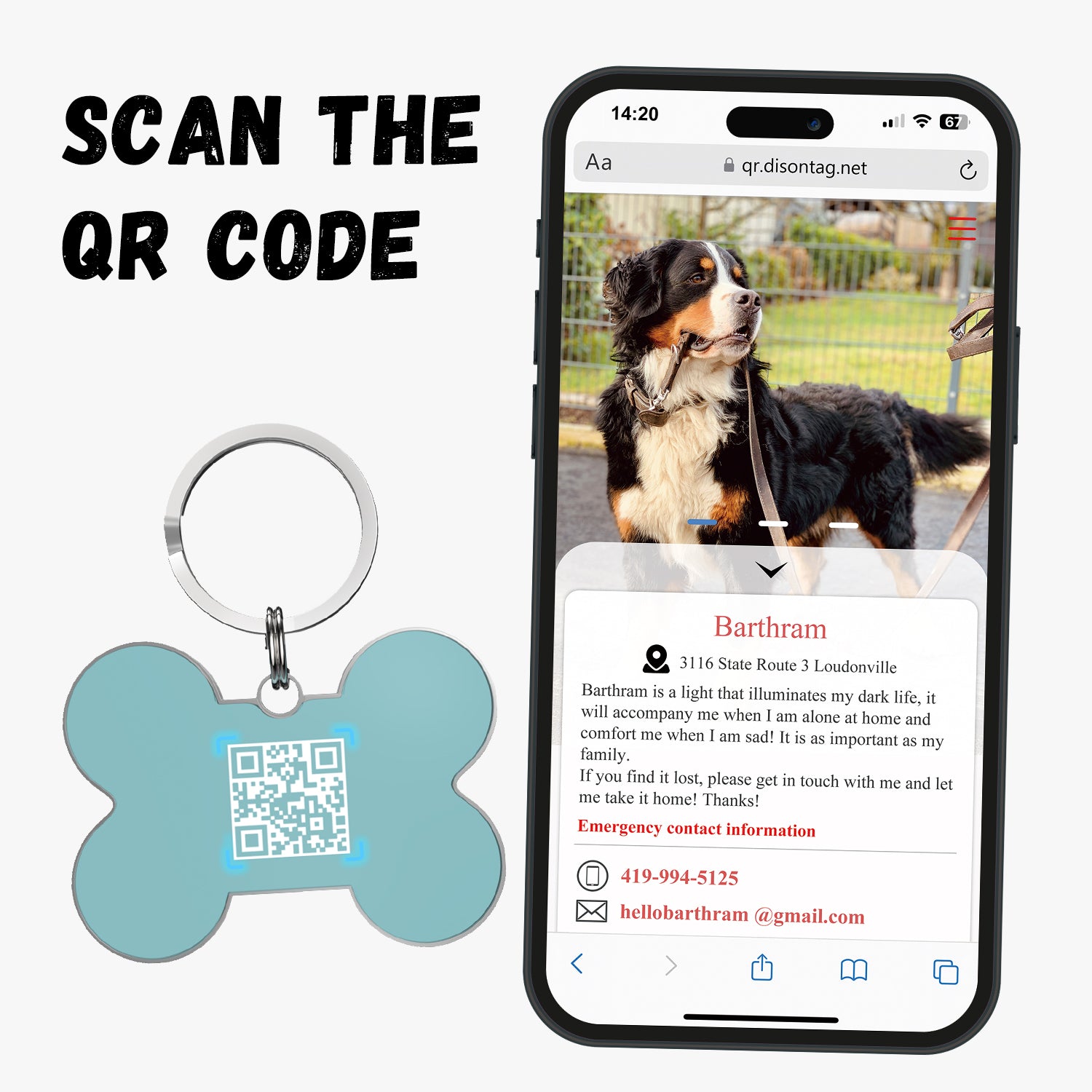 QR code pet tag Bling bone tags-NO.140615