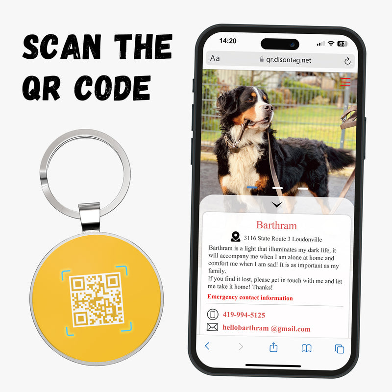 QR code pet tag Colorful text-NO.170906