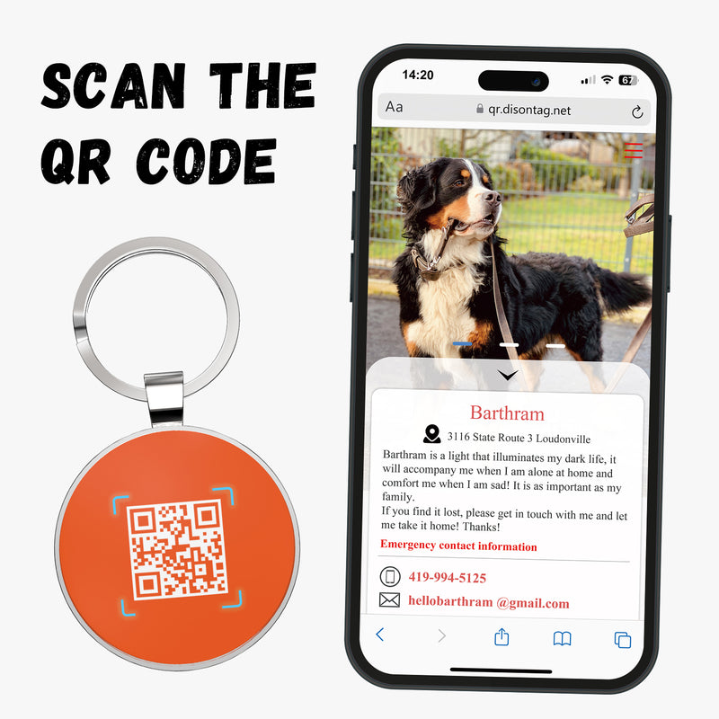 QR code pet tag Colorful text-NO.170902