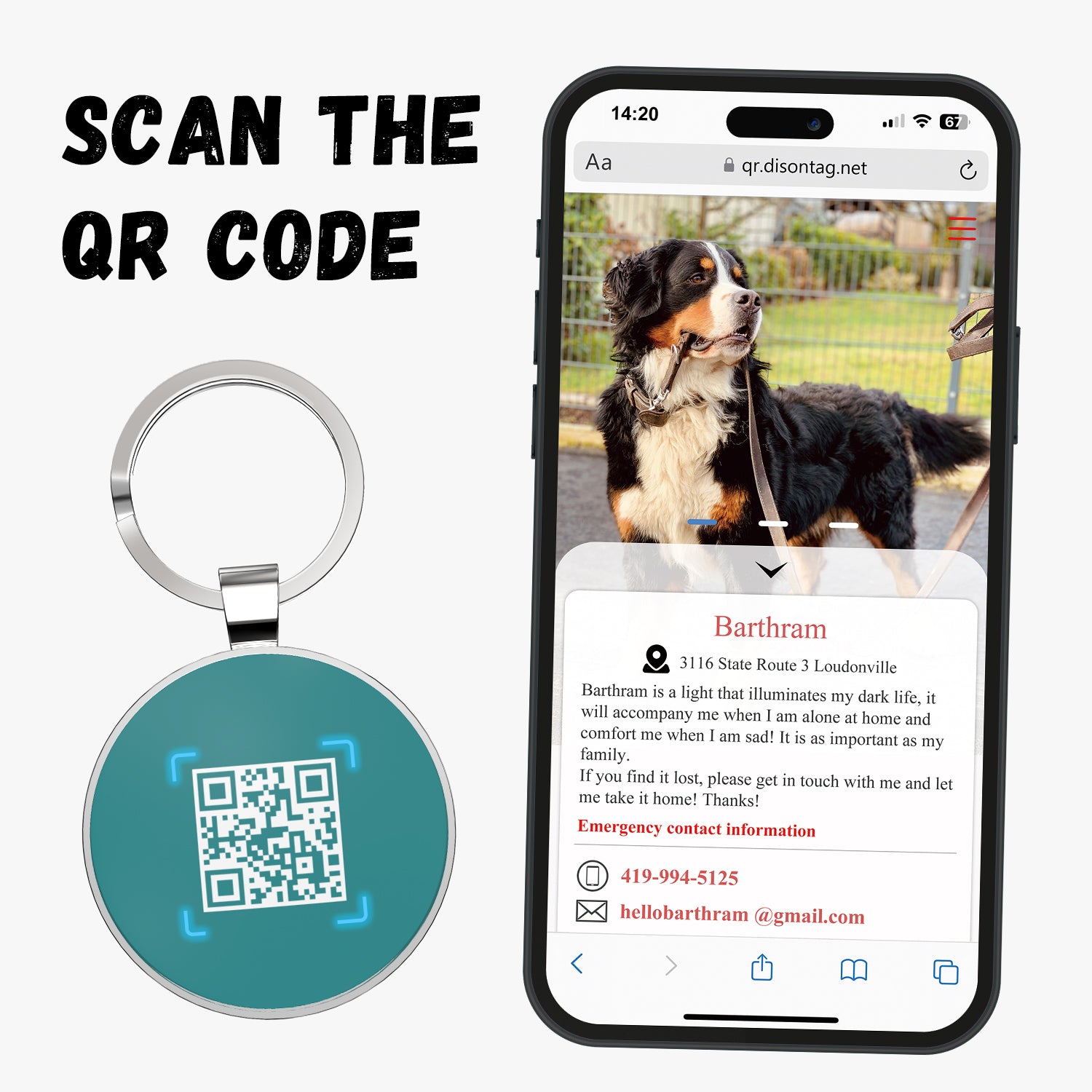 QR code pet tag Pet paws-NO.140606