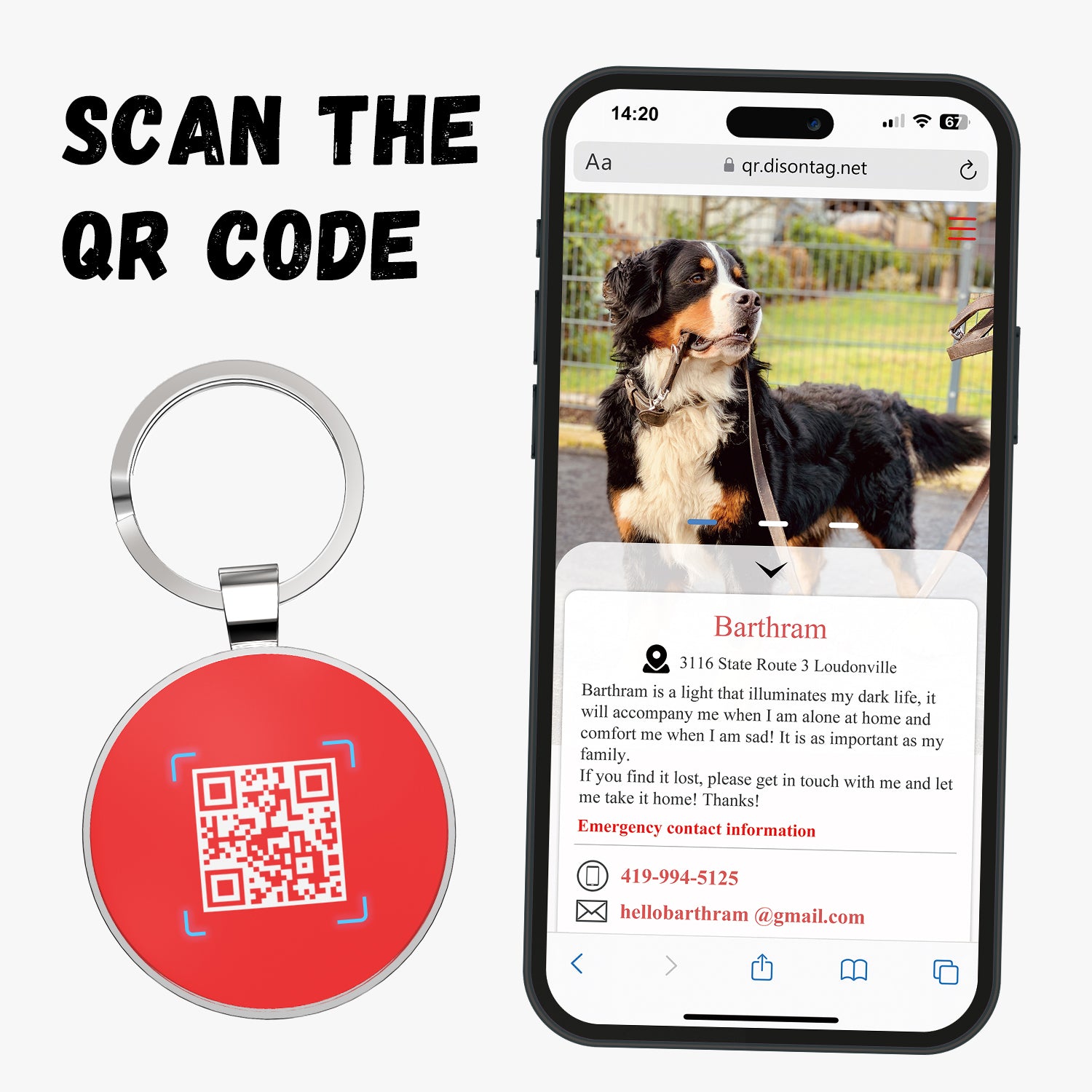 QR code pet tag Pet paws-NO.140603