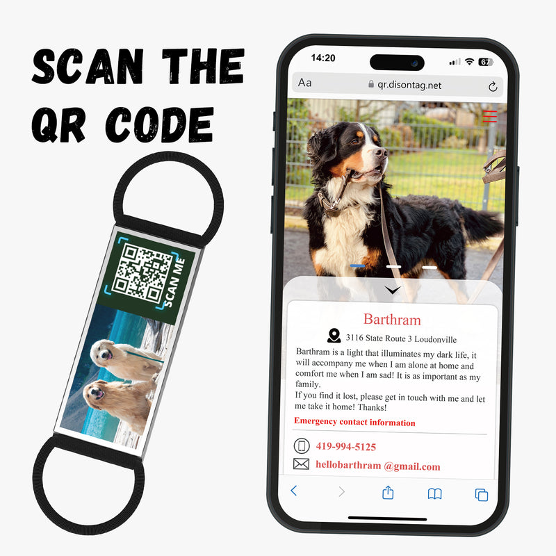 QR code pet tag Any picture-NO.150904