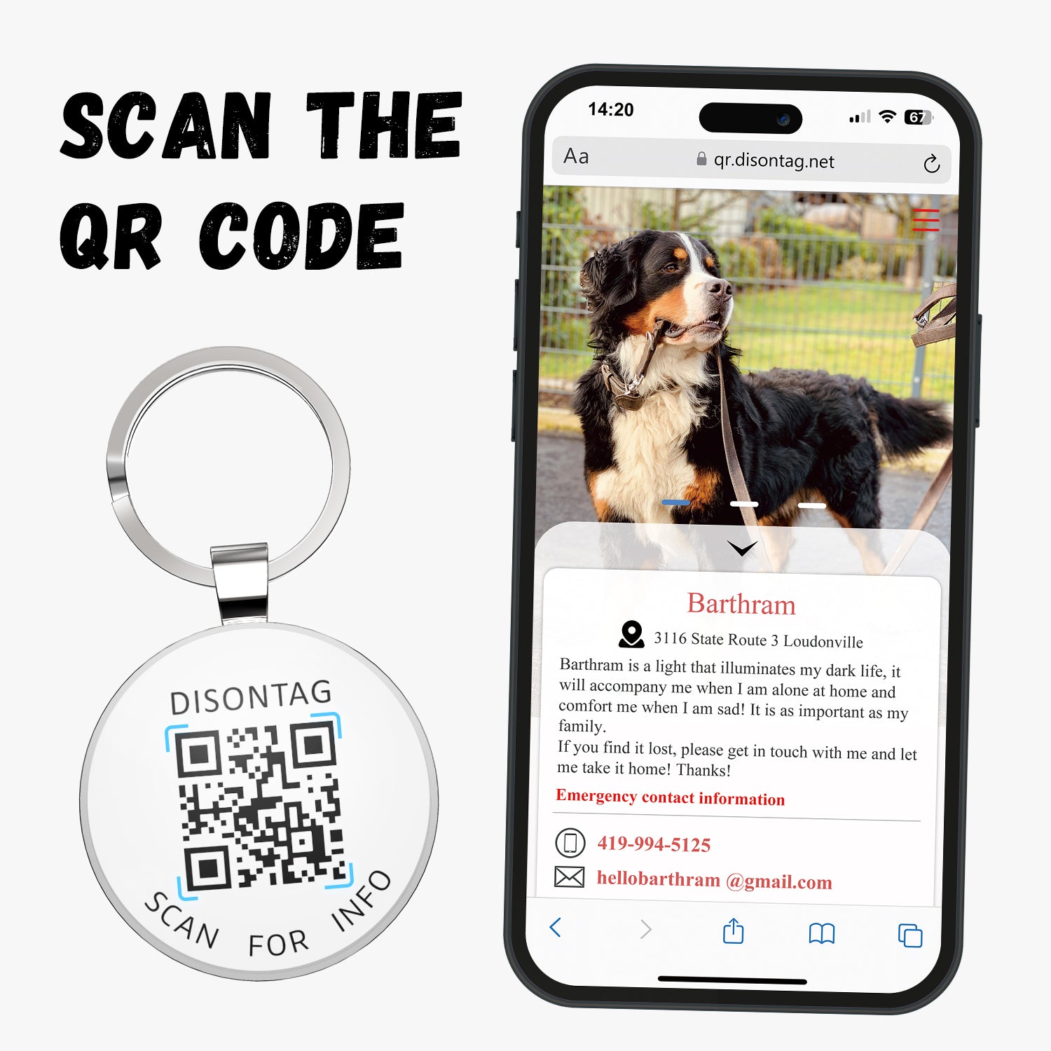 Alloy ID QR code pet tag-Time Tunnel