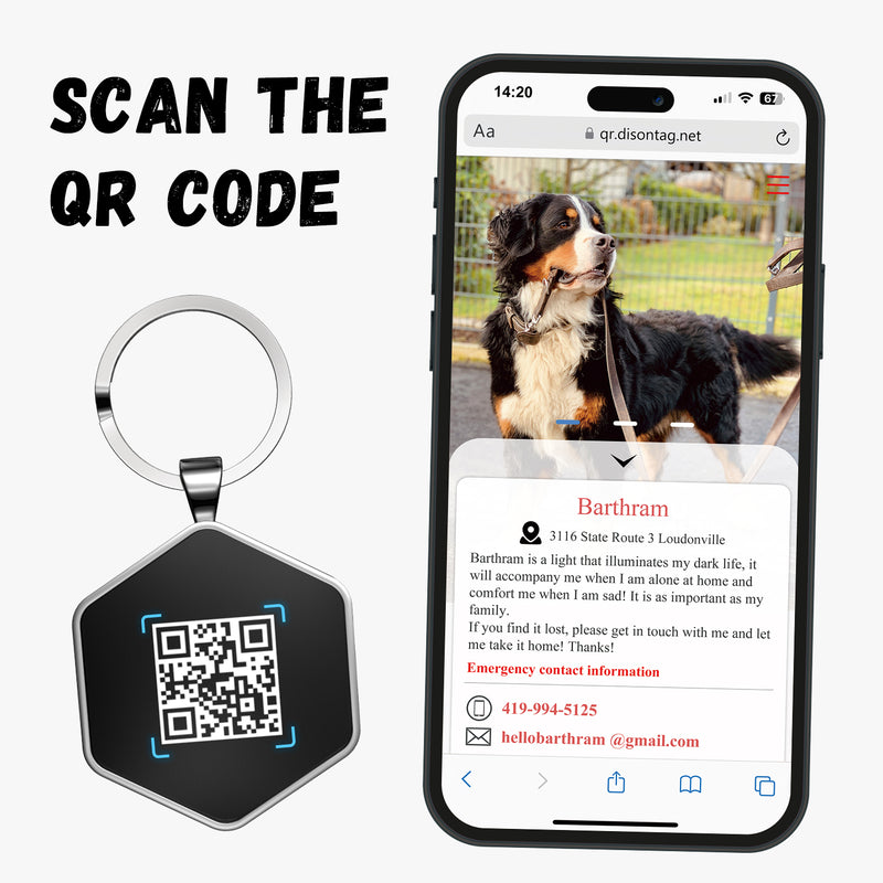 QR code pet tag Colorful text-NO.170915