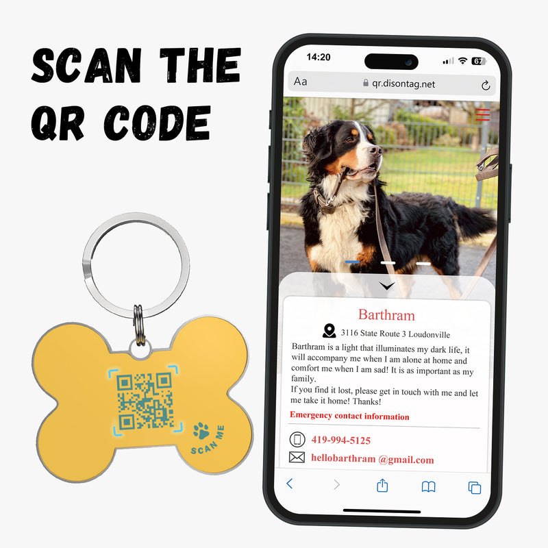 QR code pet tag Colorful text-NO.170927