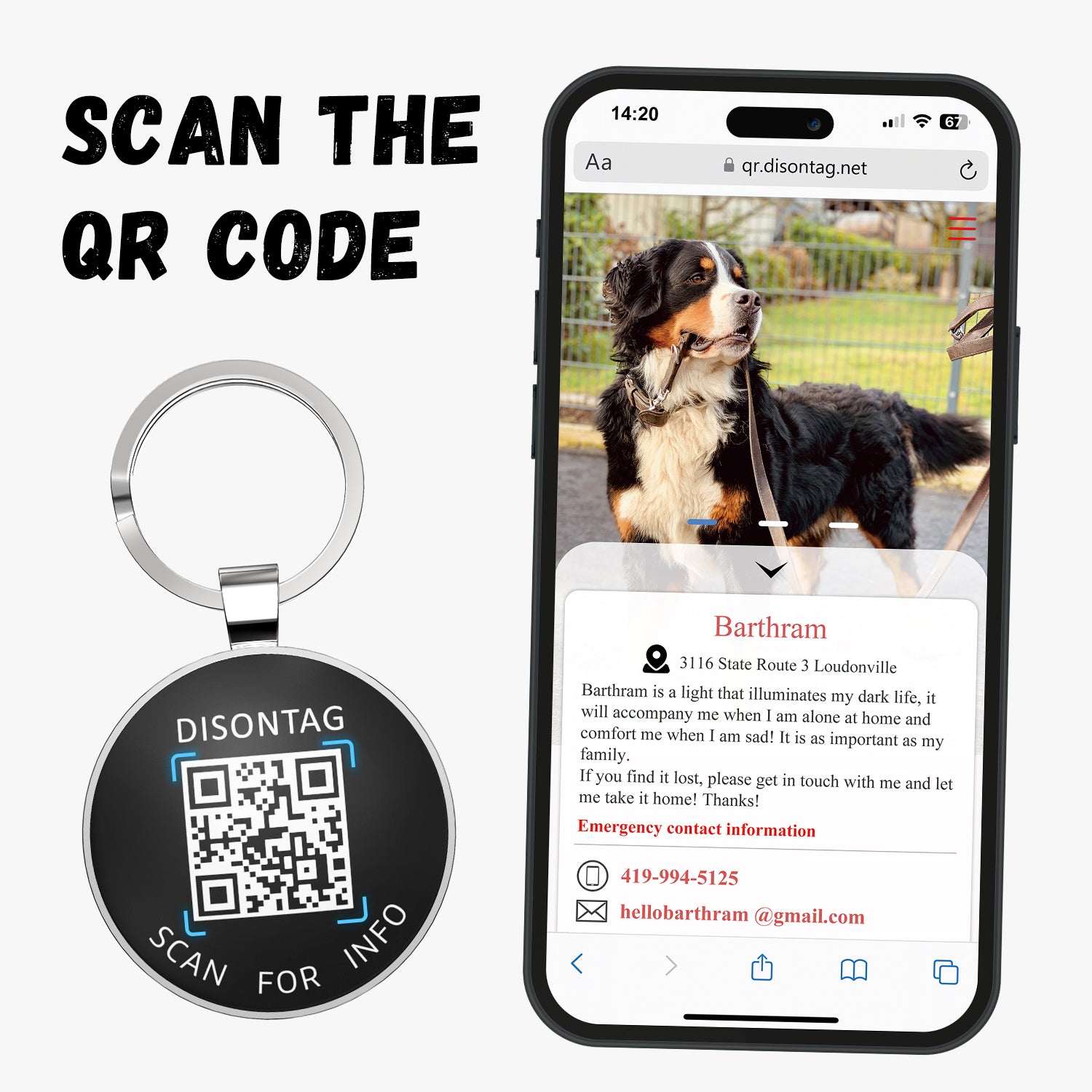 Alloy ID QR code pet tag-Interstellar Shield