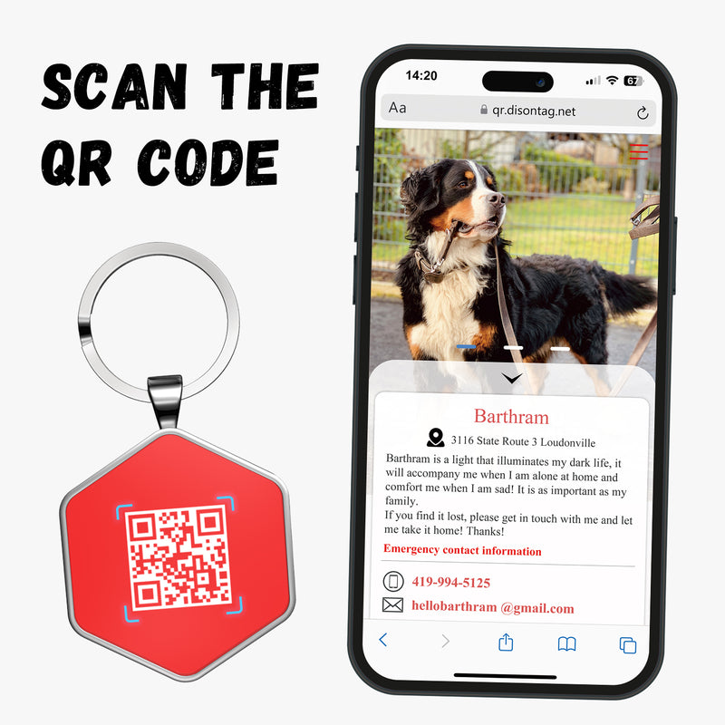 QR code pet tag Colorful text-NO.170914