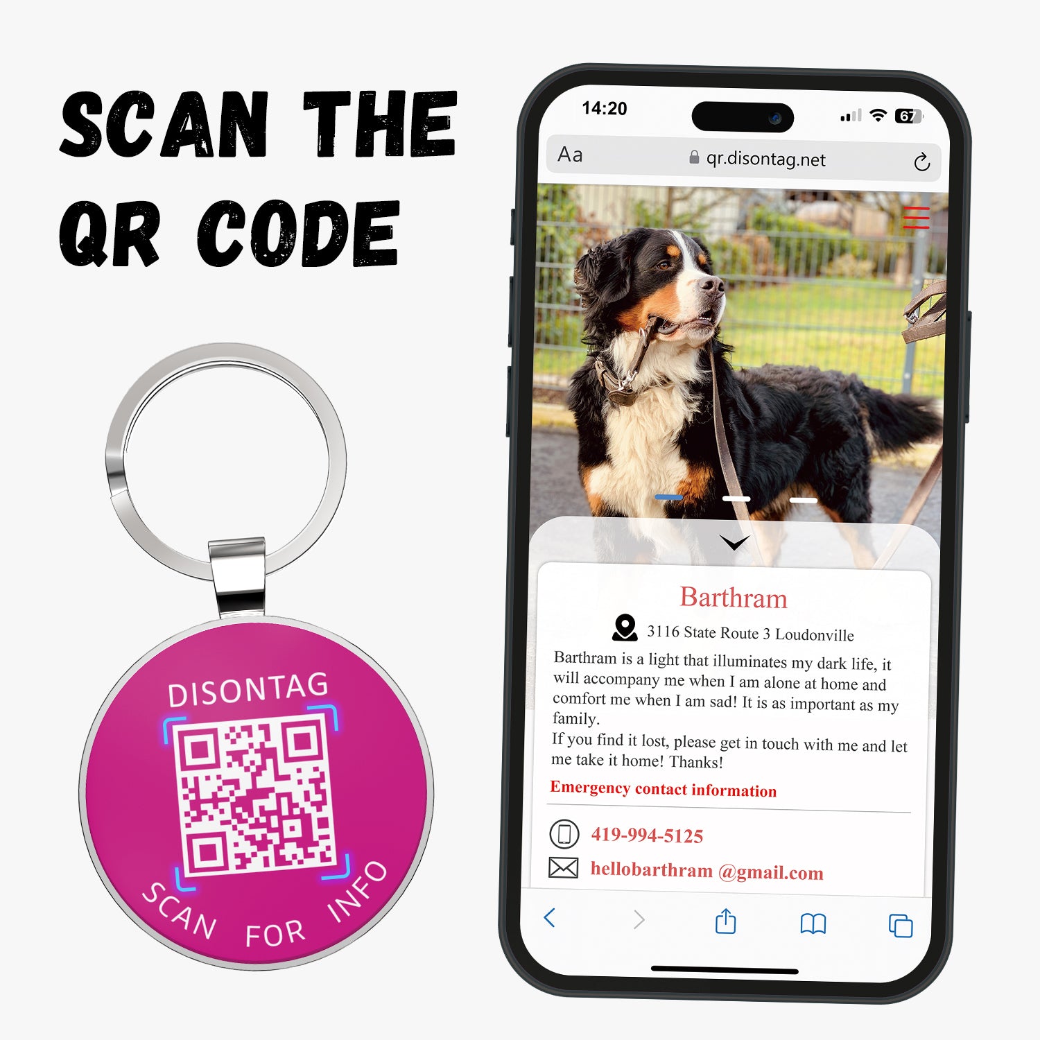 Alloy ID QR code pet tag-Love