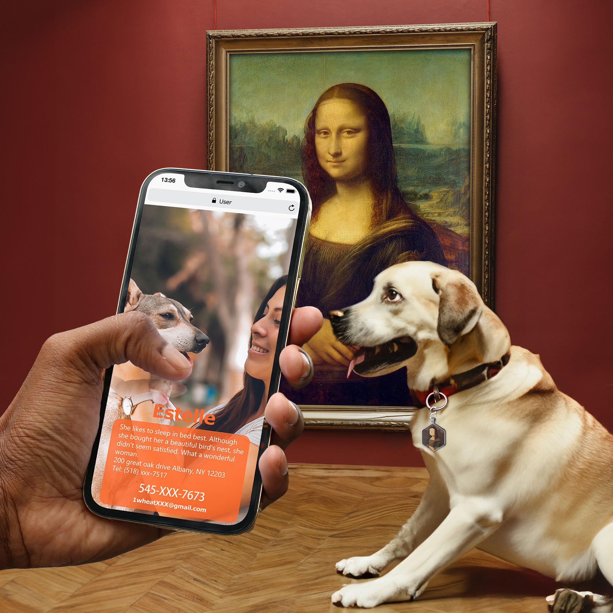 Alloy ID QR code pet tag-Mona Lisa