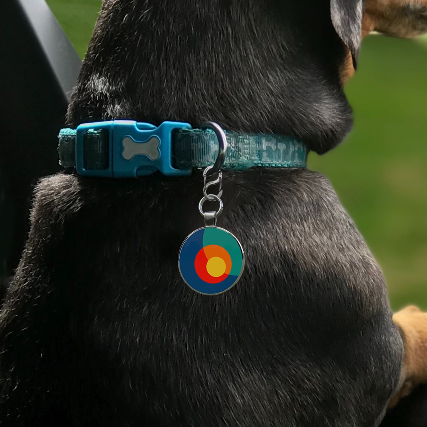 Alloy ID QR code pet tag-Planets Collide