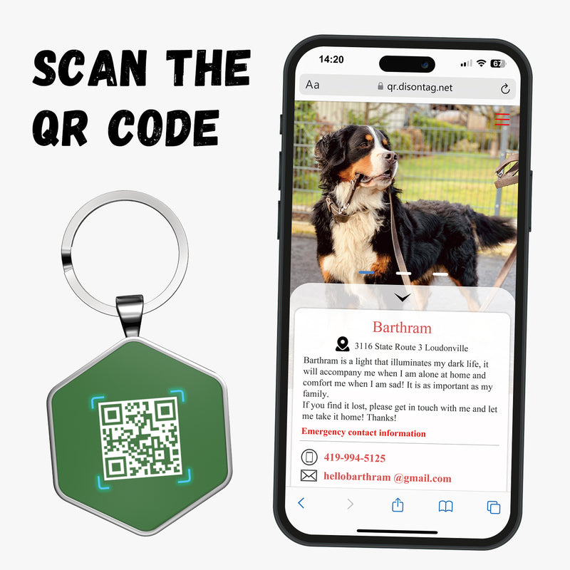 QR code pet tag Colorful text-NO.170912