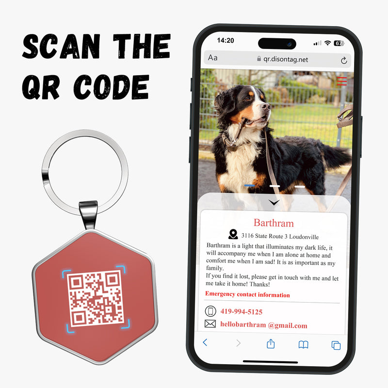 QR code pet tag Colorful text-NO.170916