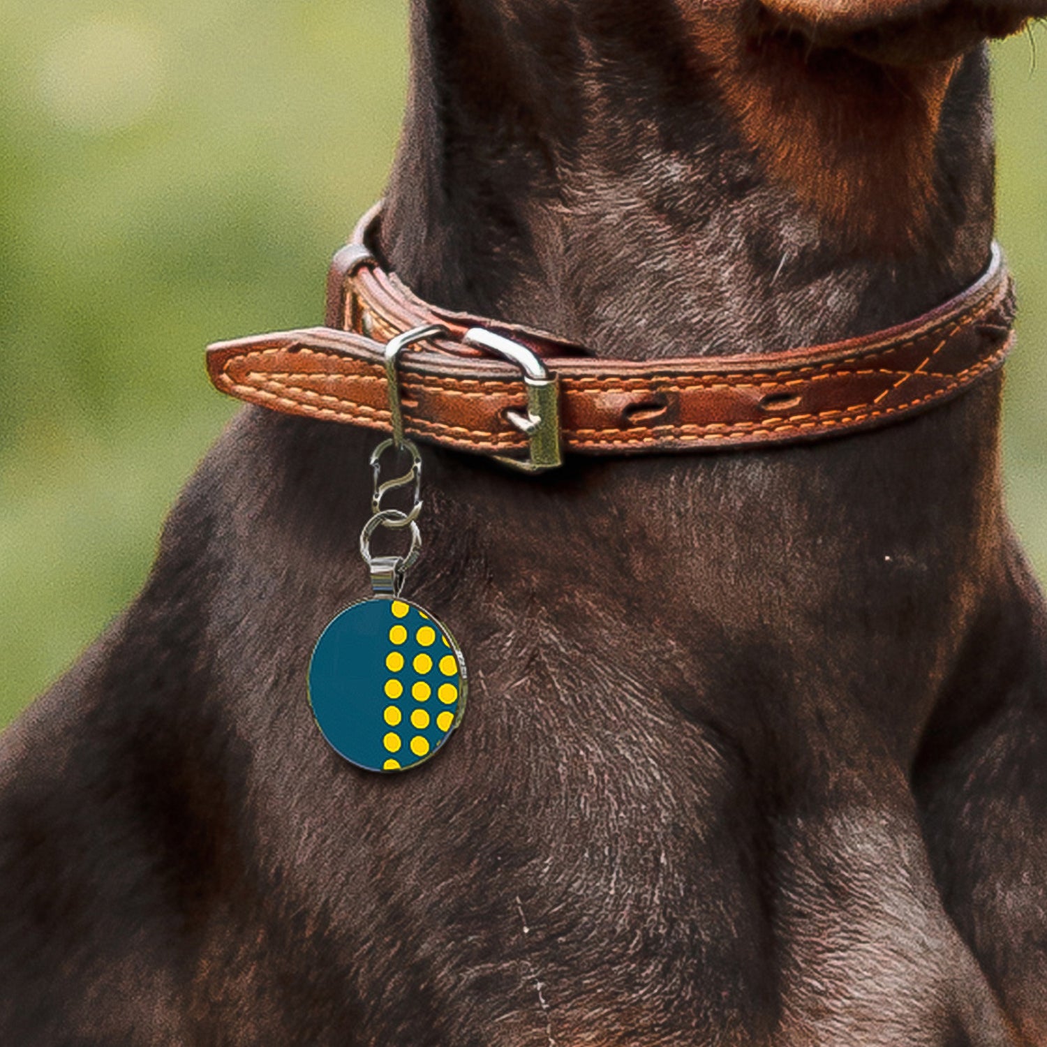 Alloy ID QR code pet tag-Yellow Polka Dots