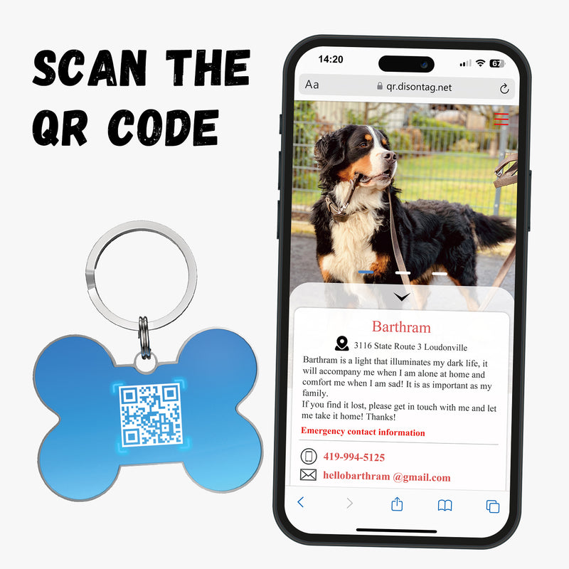 QR code pet tag Colorful text-NO.170918