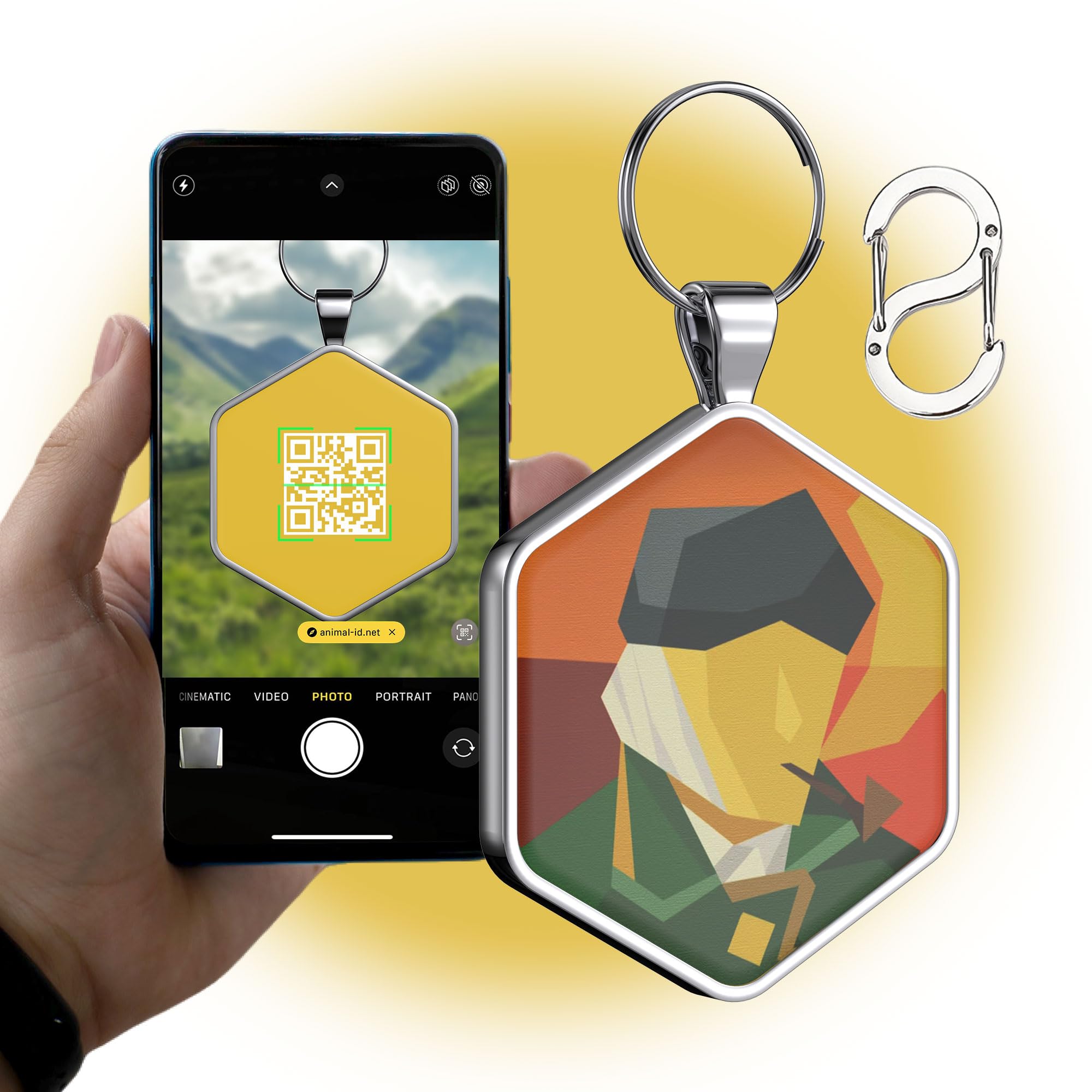 Alloy ID QR code pet tag-Van Gogh