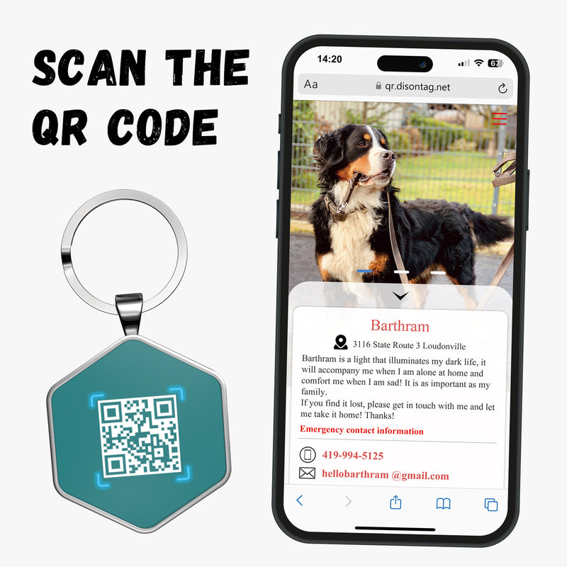 QR code pet tag Colorful text-NO.170910