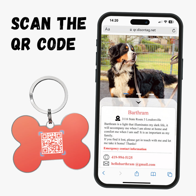 QR code pet tag Colorful text-NO.170919