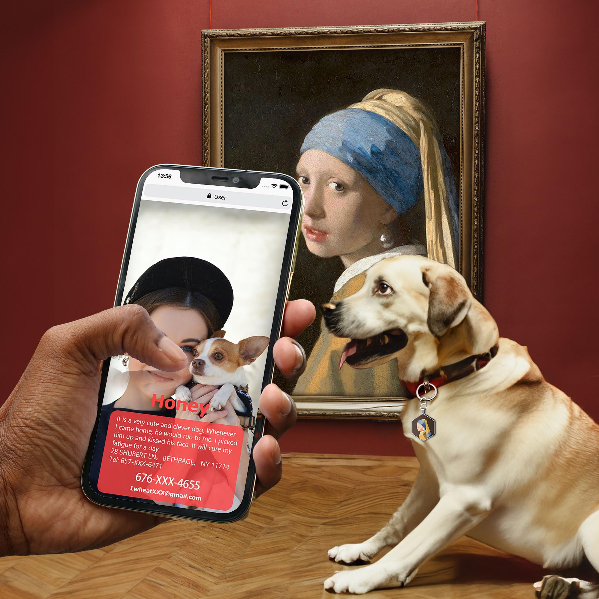 Alloy ID QR code pet tag-Girl with a Pearl Earring