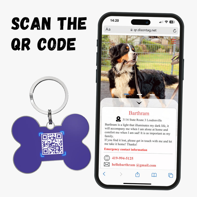 QR code pet tag Colorful text-NO.170920