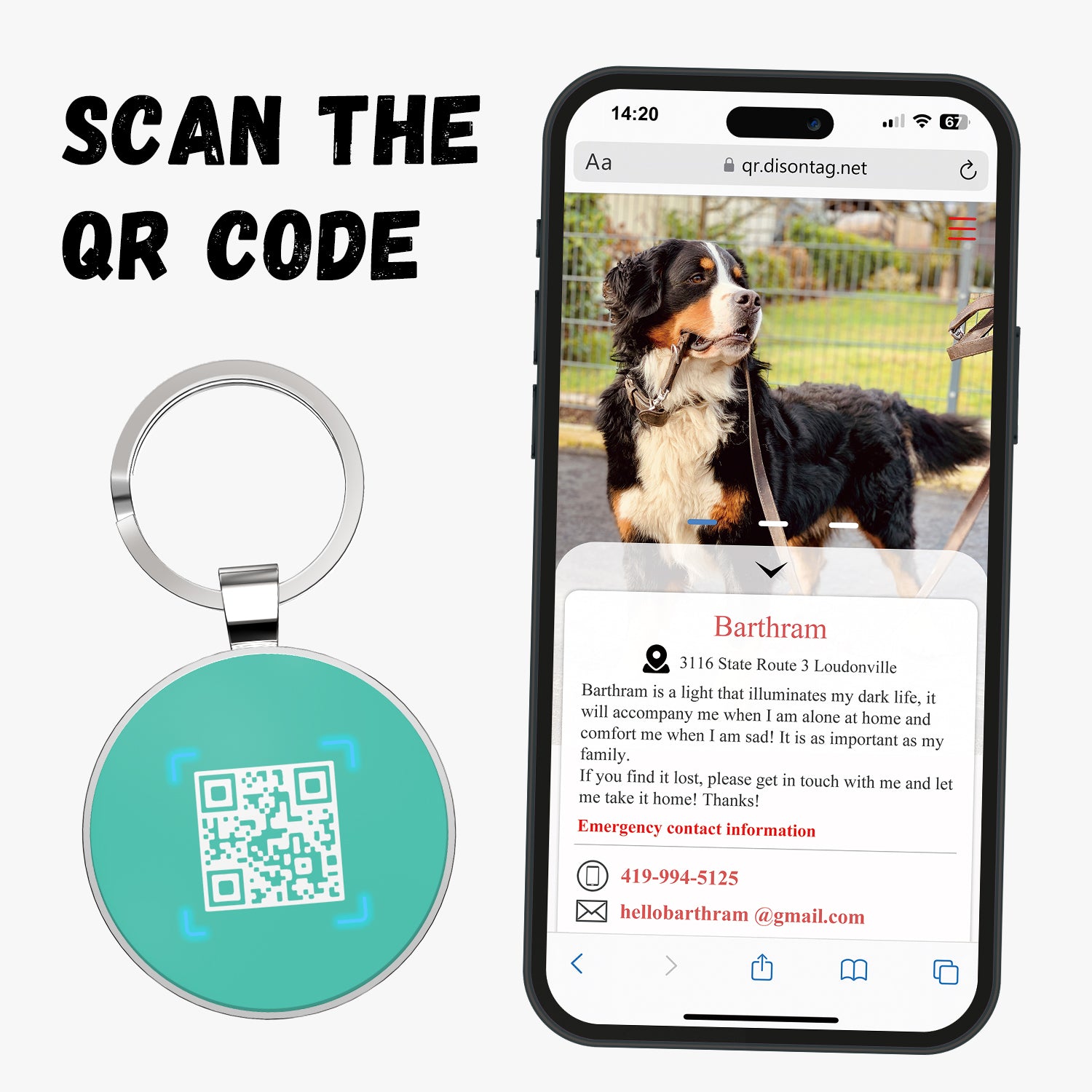 QR code pet tags-NO.150629