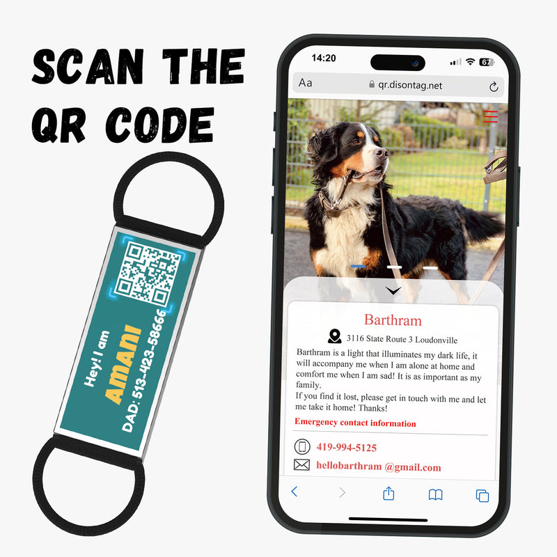 QR code pet tag silent-no more jingle-NO.130902