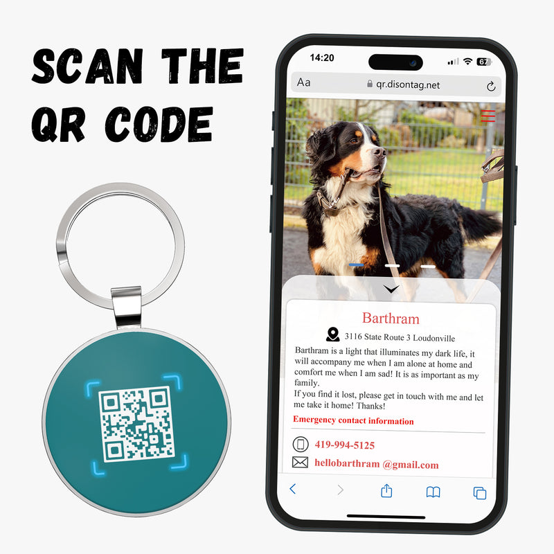 QR code pet tag Colorful text-NO.170901