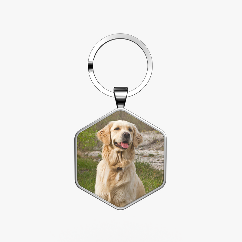 QR code pet tag Any picture-NO.150902
