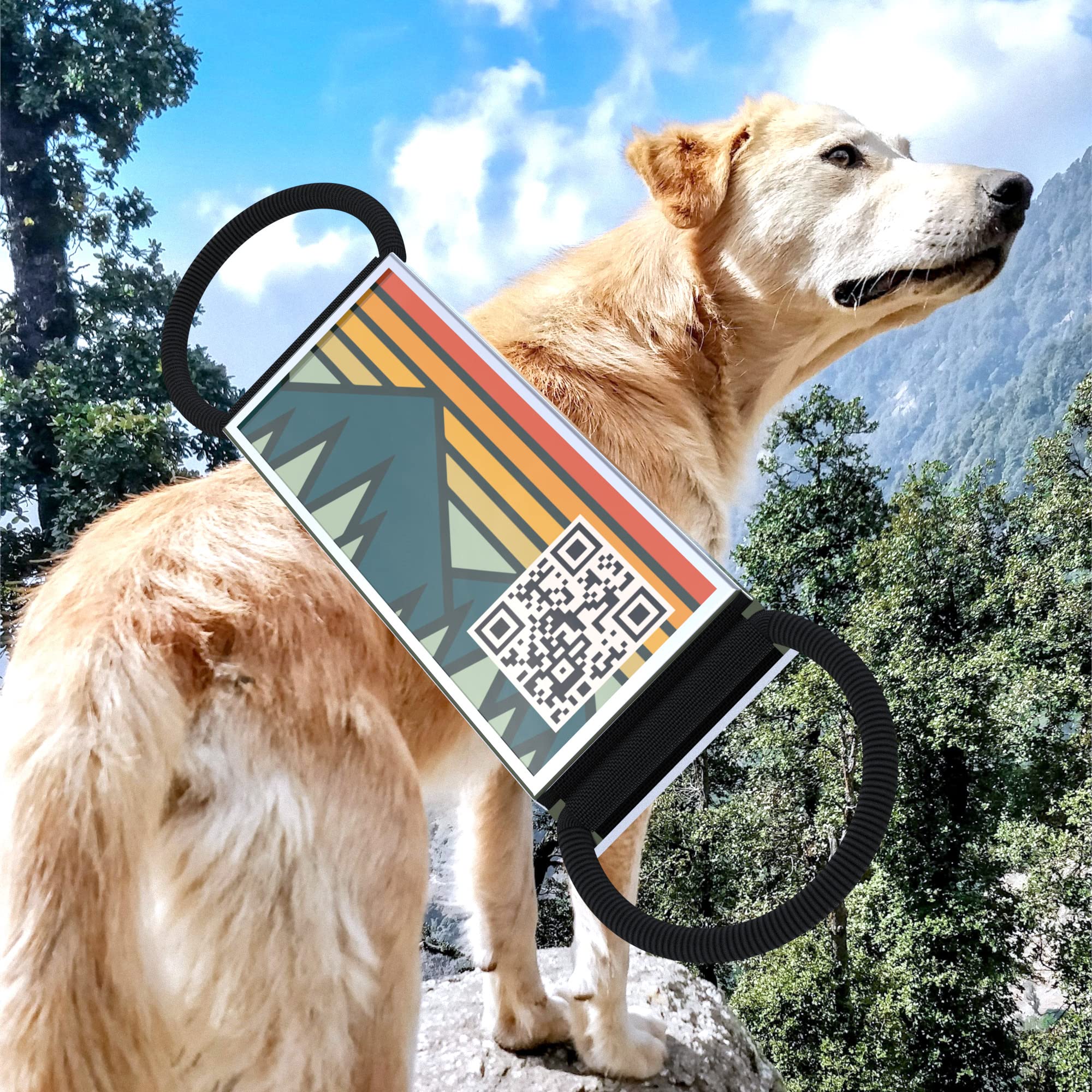 QR code pet tag Into the adventure-NO.140625