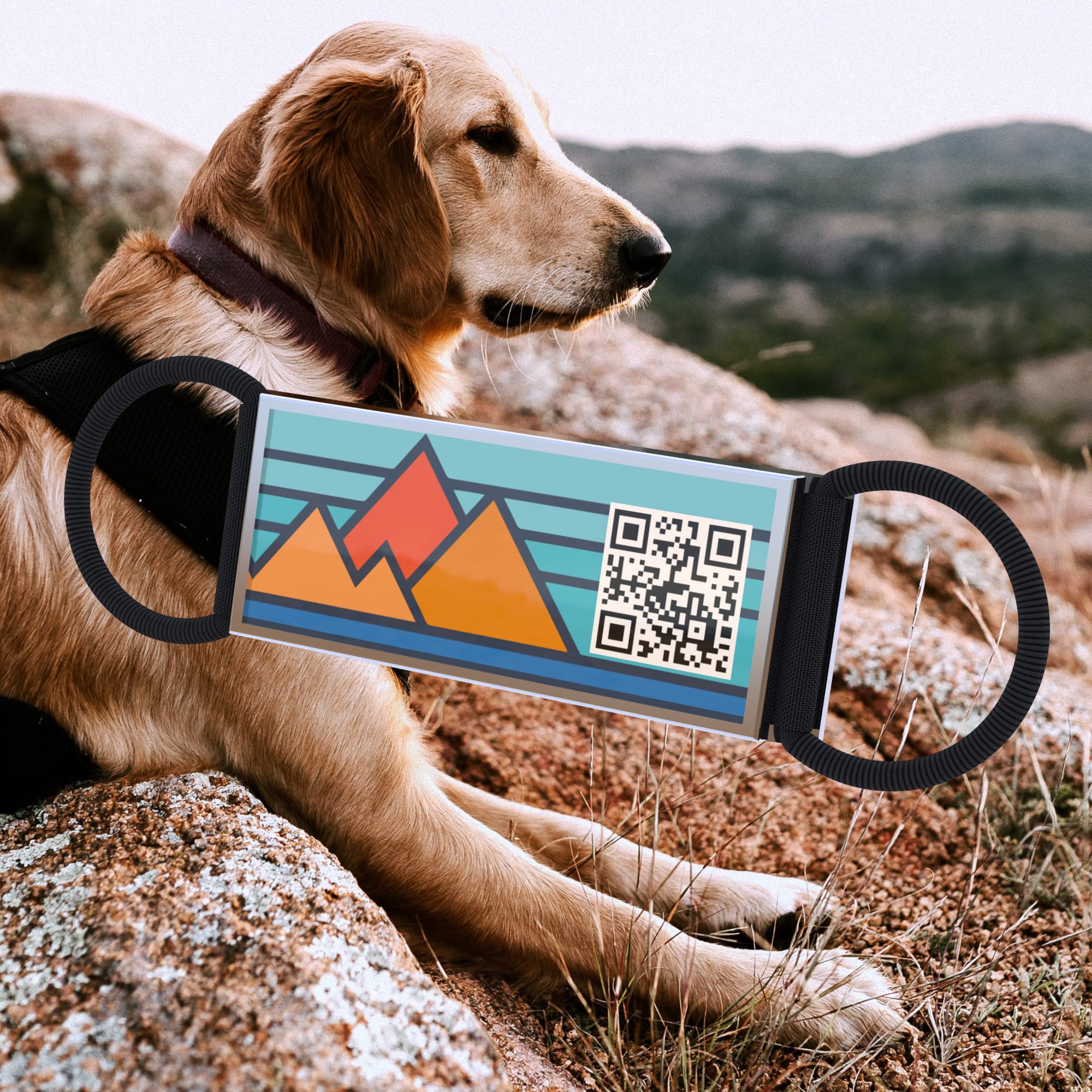 QR code pet tag Into the adventure-NO.140624