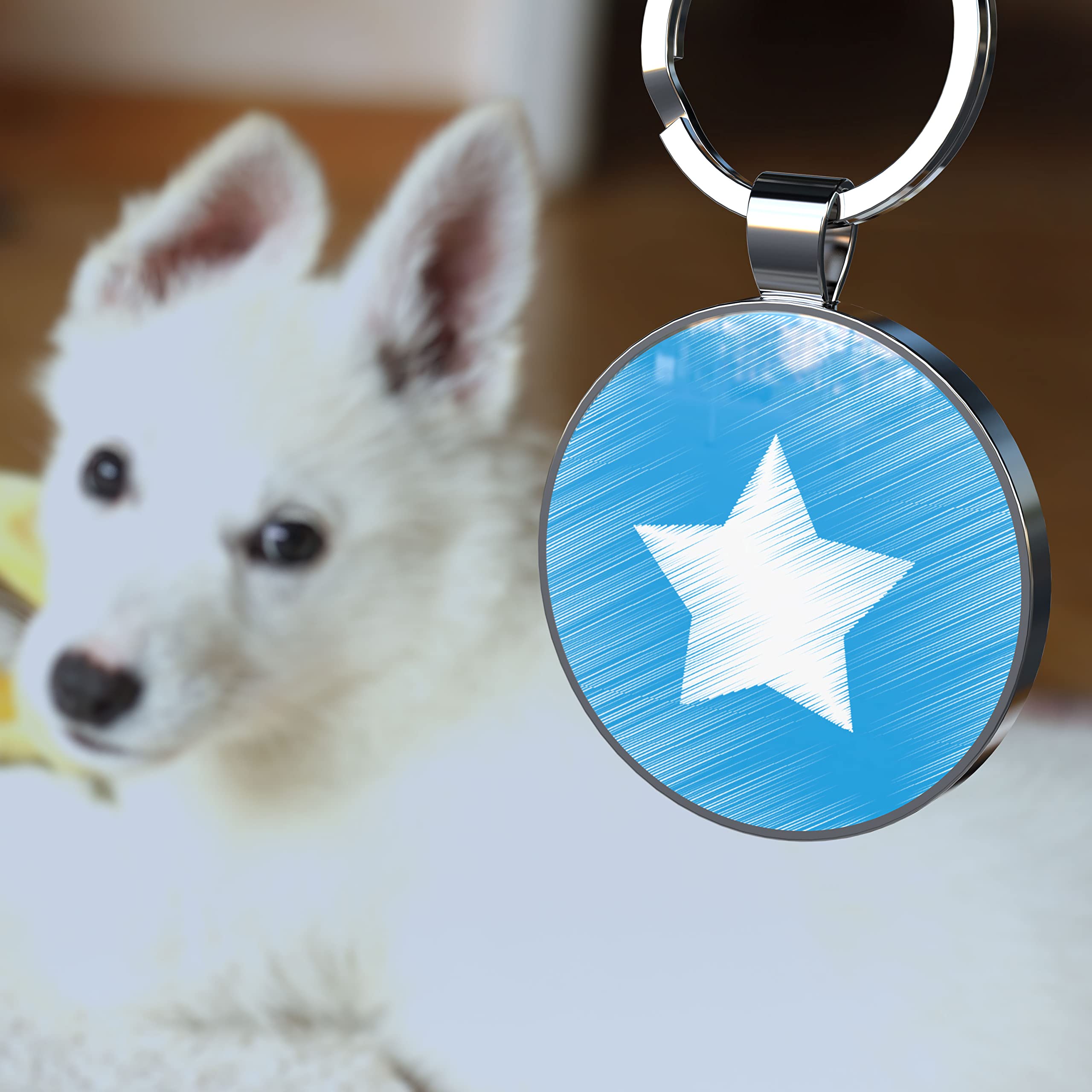 QR code pet tag Pet paws-NO.140626